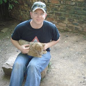 Getting mauled by a MASSIVE lion in Addo South Africa