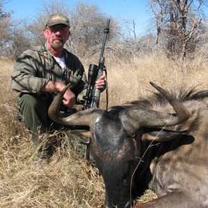 Blue Wilderbeest Limpopo River area SA