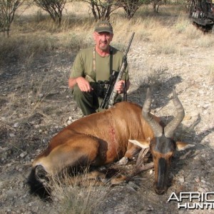 Red Hartebeest Bull Namibia