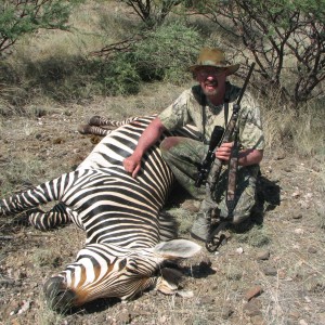 Mountain Zebra Stallion Namibia