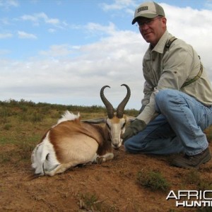 Springbok