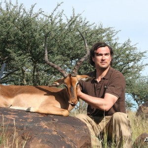 Nice Impala hunted in South Africa