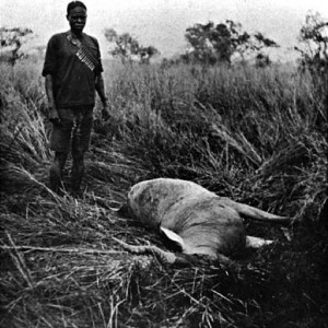 Chumamaboko standing by a Jackson's Hartebeest