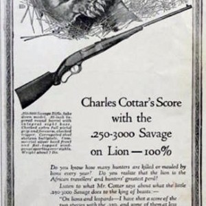 Savage Arms