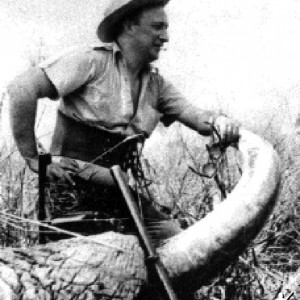 Belgian Charles Mahauden with Elephant and .600 Nitro