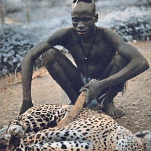 Leopard Hunting