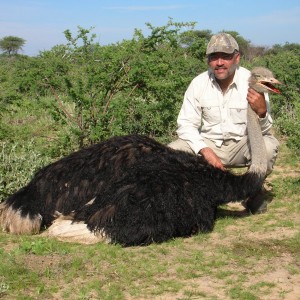 Hunting Ostrich in Namibia