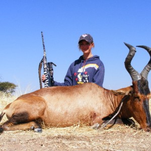 Hunting Red Hartebeest in Namibia