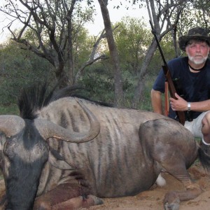 Blue Wildebeest South Africa