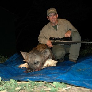 Smallest Hyena I've Ever Shot!