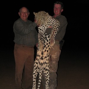 Hunting Leopard in Namibia