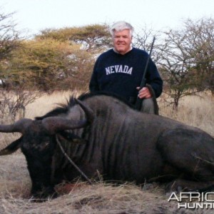 Hunting Wildebeest in Namibia