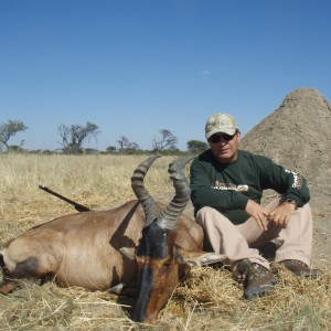 Hunting Red Hartebeest in Namibia