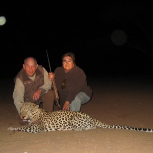 Hunting Leopard in Namibia