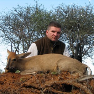 Hunting Duiker in Namibia