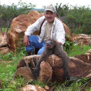 Hunting Chacma Baboon in Namibia