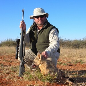 Hunting Aardwolf in Namibia