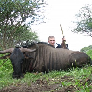 Hunting Blue Wildebeest in Namibia