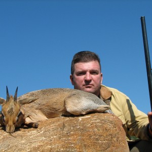 Hunting Damara Dik-Dik in Namibia