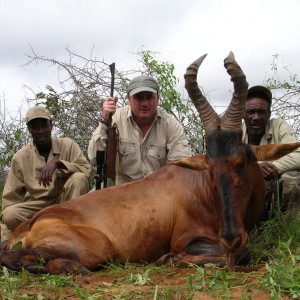 Hunting Red Hartebeest in Namibia