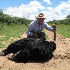 Hunting Ostrich in Namibia