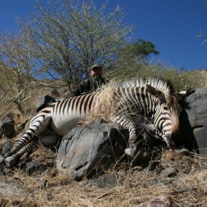 Hartmann's Mountain Zebra hunt in Namibia