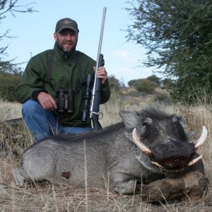 Warthog hunt in Namibia