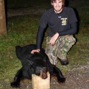 First Bear