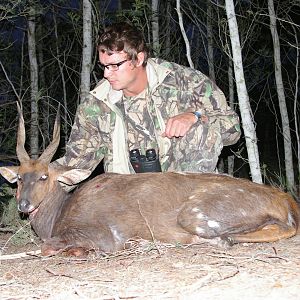 Cape Bushbuck