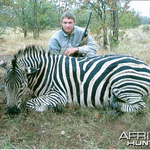 Burchell Zebra