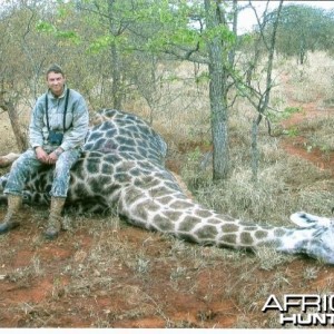 Bull Giraffe, Zimbabwe