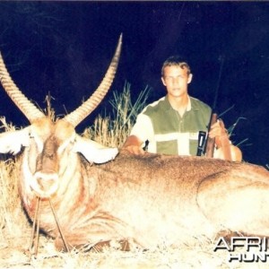 28.5 inch Common Waterbuck