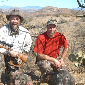 Javelina, Sonora, Mexico 2006