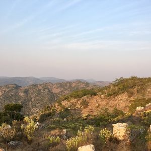 South Africa Hunting Landscape