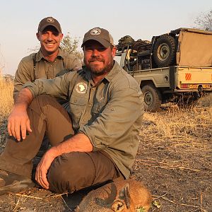 Kirk's Dik-Dik Hunting in Tanzania