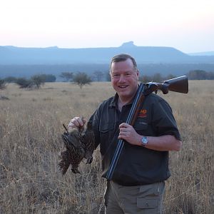 Bird Hunting Sandgrouse South Africa