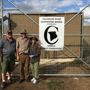 Twenty Four Lions reintroduced to Zambeze Delta of Mozambique