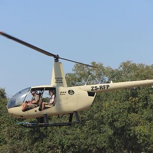 Twenty Four Lions reintroduced to Zambeze Delta of Mozambique