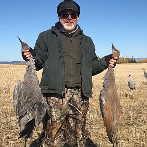 Hunt  Sandhill Crane in Alaska