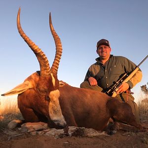 South Africa Hunting Blesbok