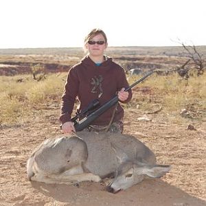 Mule Deer Hunting