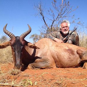 Tsessebe Hunt in South Africa