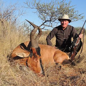 Red Hartebeest Hunting in South Africa