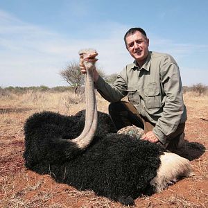 Hunting Ostrich South Africa