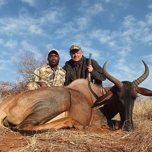 South Africa Hunting Tsessebe