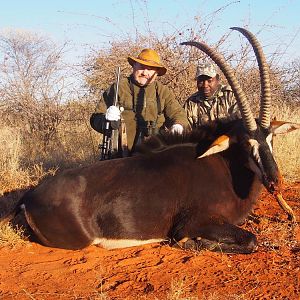 Sable Antelope Hunting in South Africa