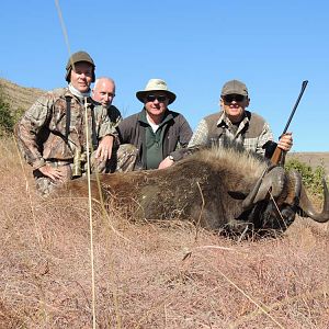 Hunt Black Wildebeest South Africa