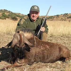 Black Wildebeest Hunt in South Africa