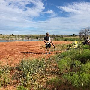 Dove Hunting Texas USA