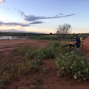 Texas USA Dove Hunting